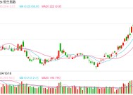 快讯：恒指低开0.43% 科指跌0.31%小米集团涨近5%