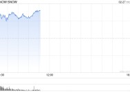 Snowflake加大AI发展力度 股价大涨逾13%