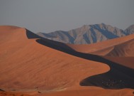 踏平坎坷，铸就成功大道