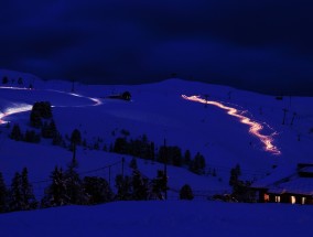 冬日静谧，夜深知雪重