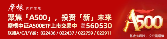 “会分红的”中证A500ETF摩根(560530)成分股东华软件、航锦科技等多股涨停，A股有望迎来新一轮上涨