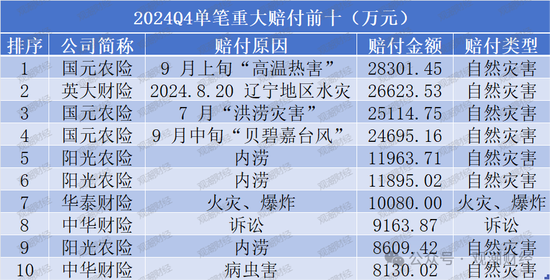 2024Q4重大赔付金额超35亿！国元、英大、阳光、华泰、中华财险列赔金Top10